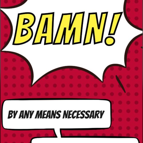 BAMN Lecture